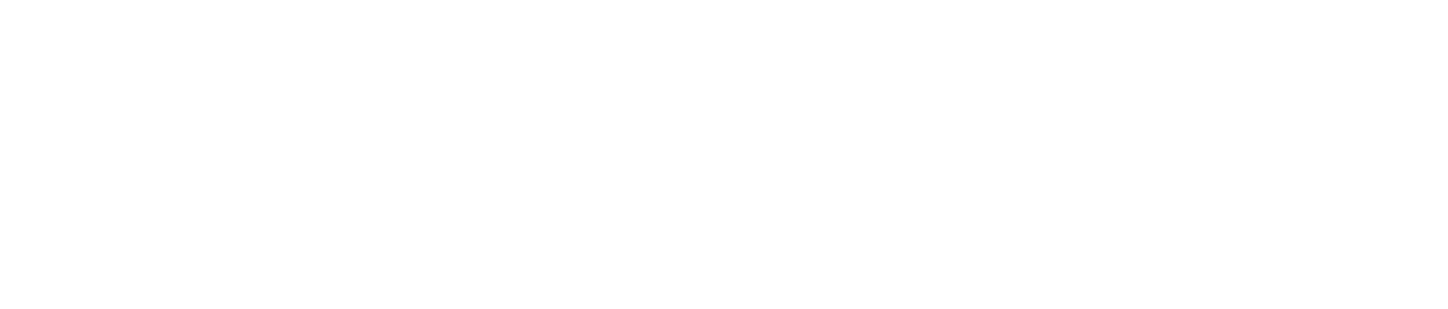 INDIBA_Logo_EDNA-PRO-MAX_white